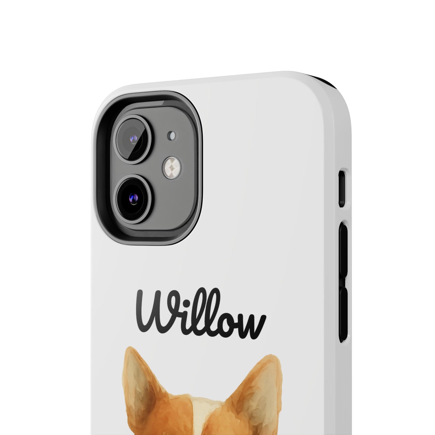 The Tough Companion Case