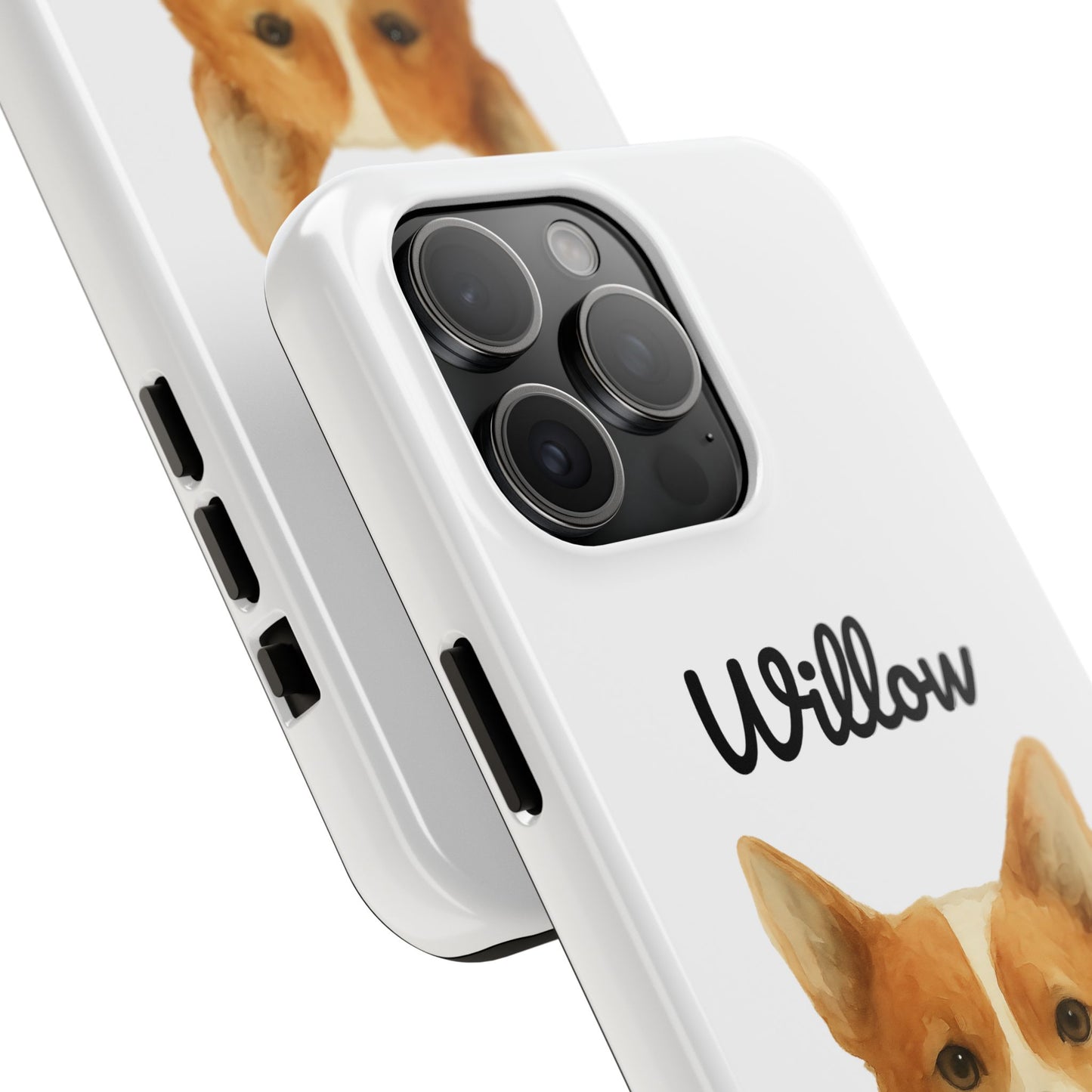 The Tough Companion Case