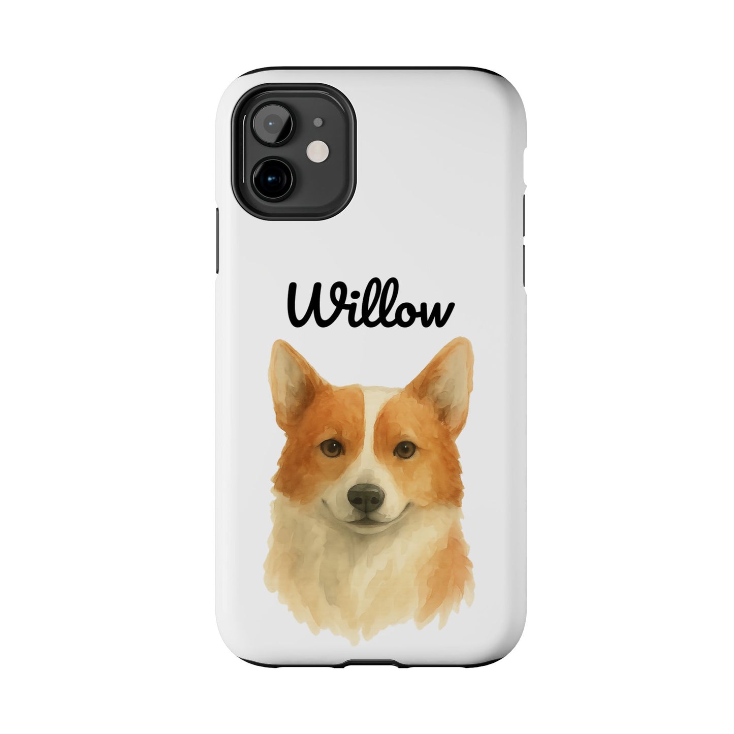 The Tough Companion Case