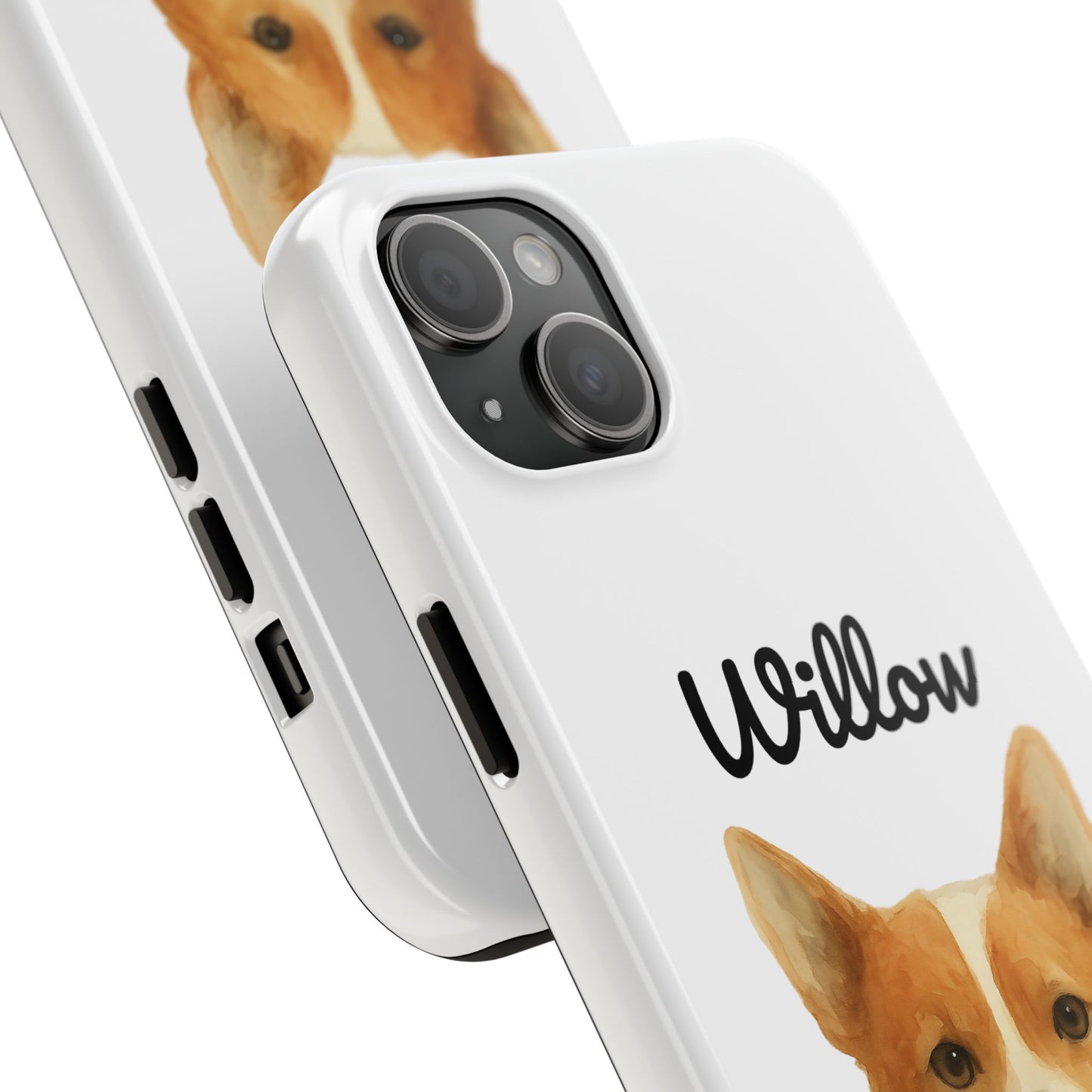 The Tough Companion Case