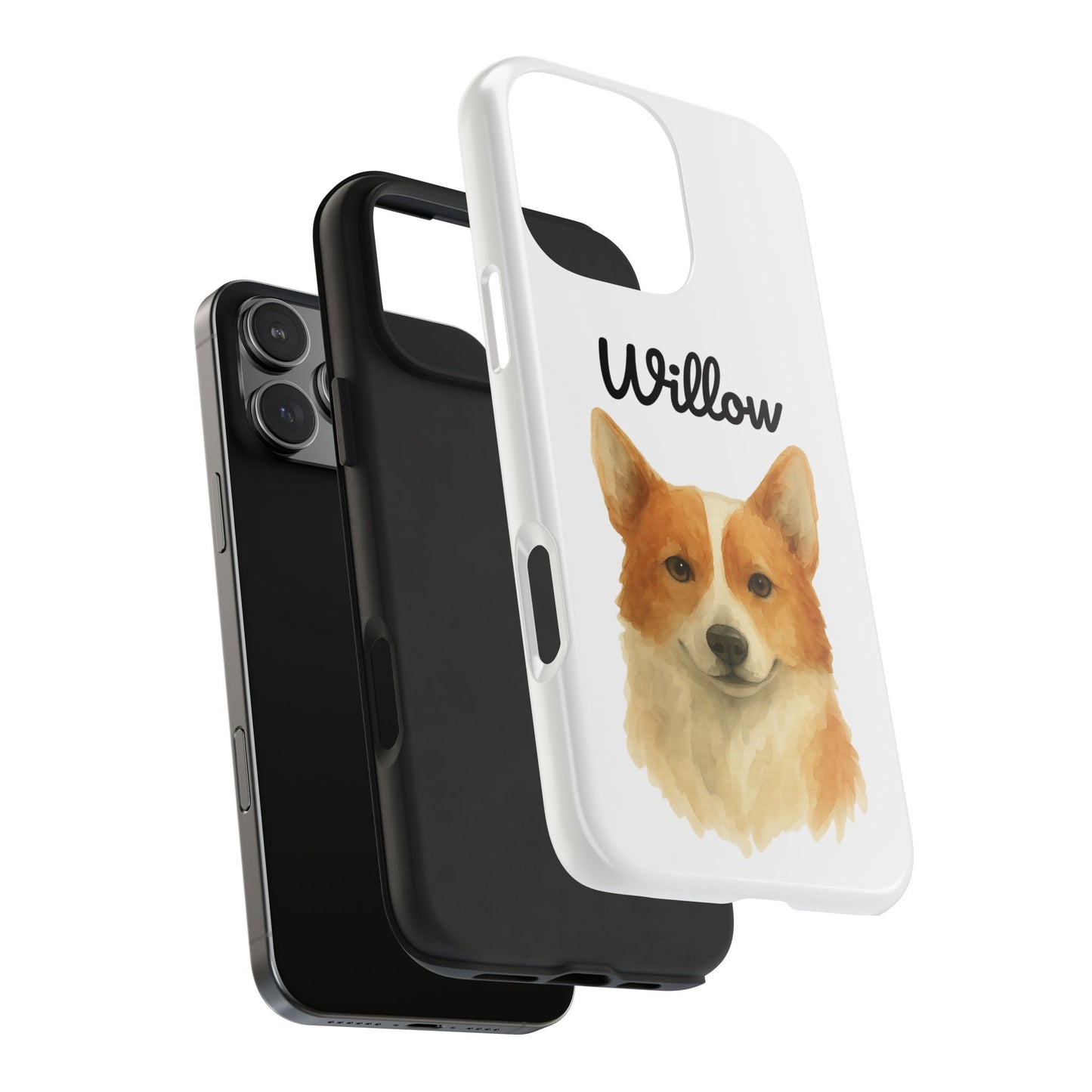The Tough Companion Case