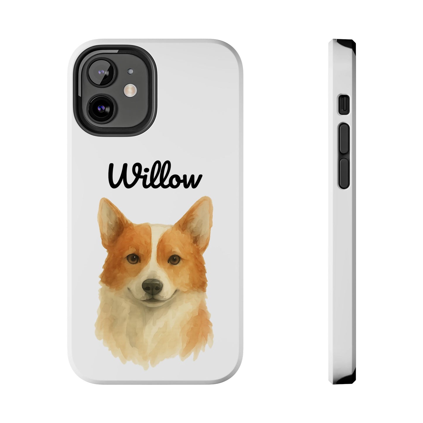 The Tough Companion Case