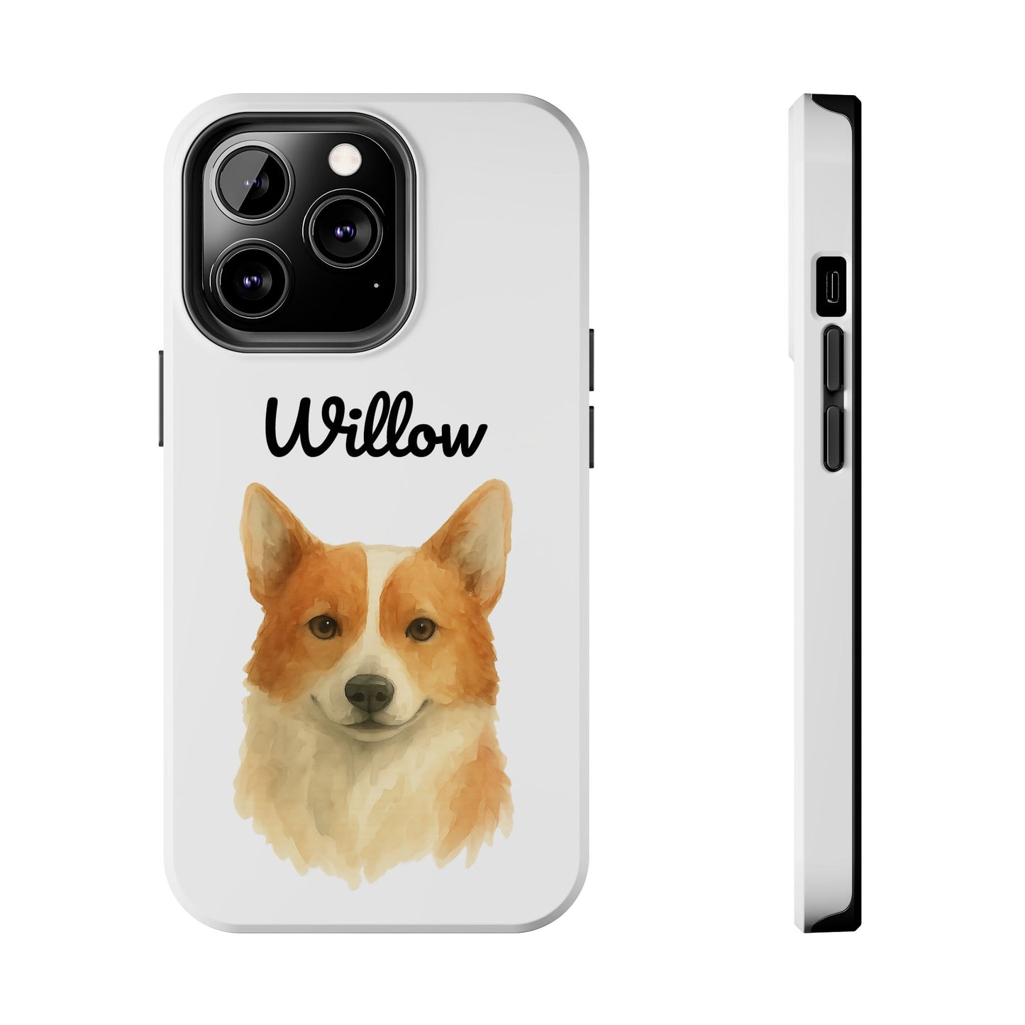 The Tough Companion Case