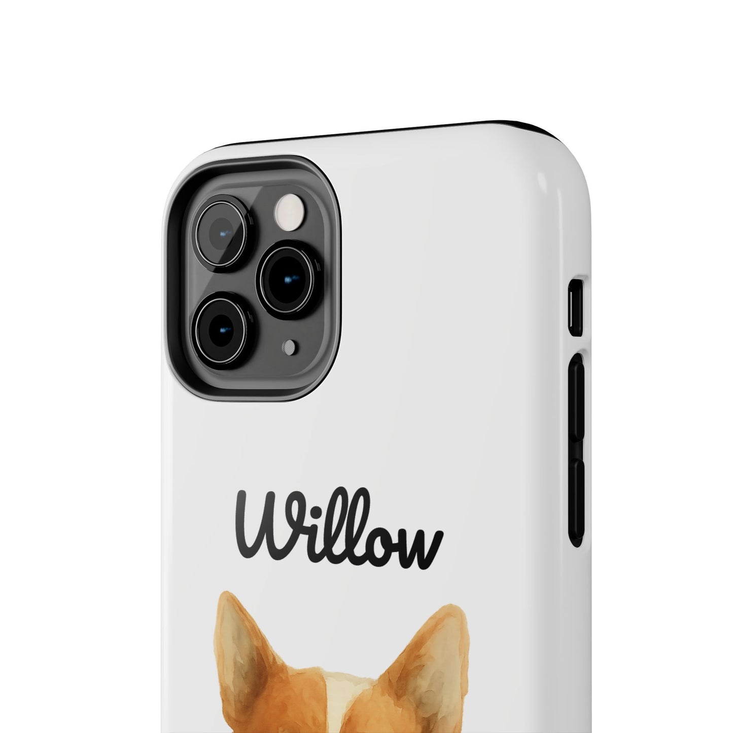 The Tough Companion Case