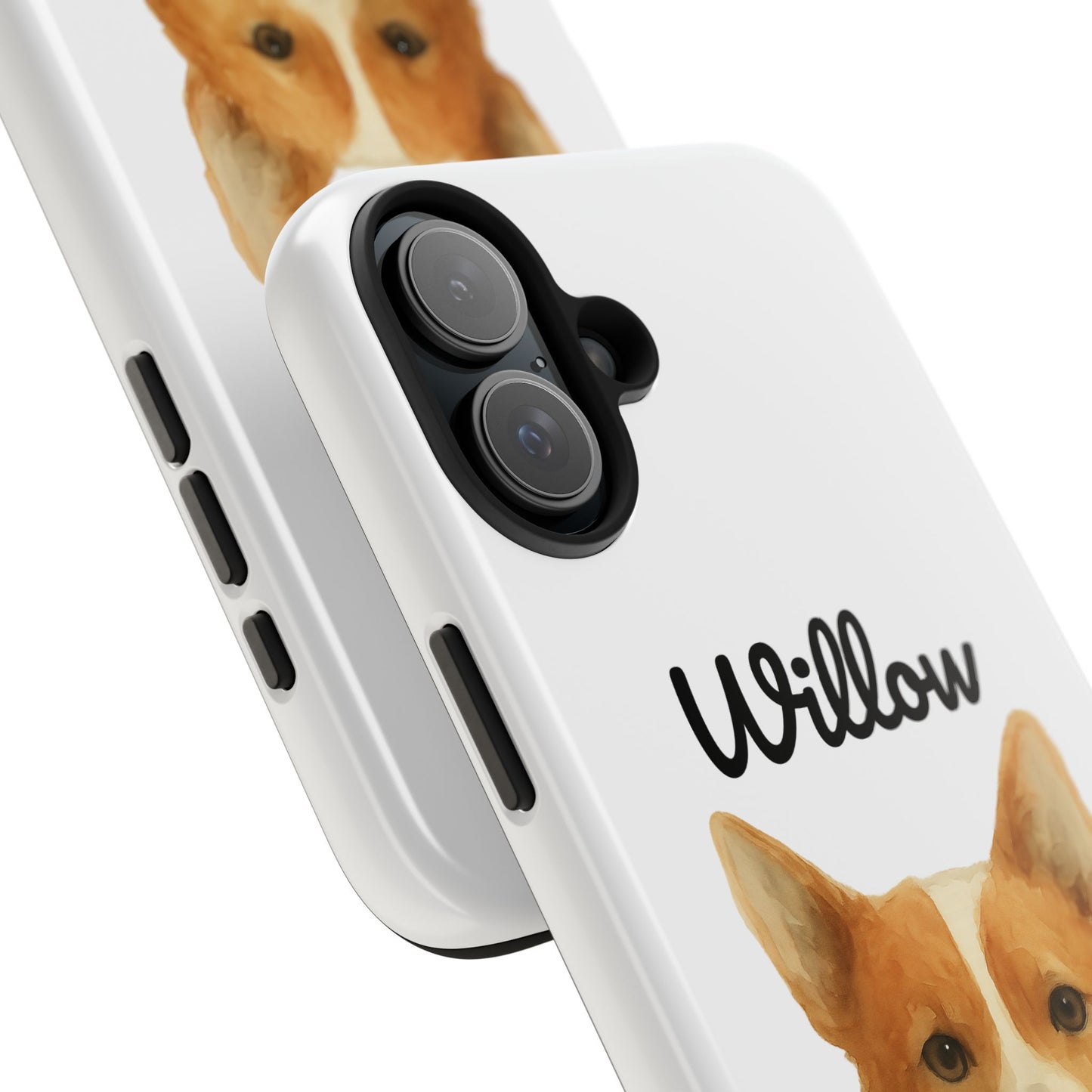 The Tough Companion Case