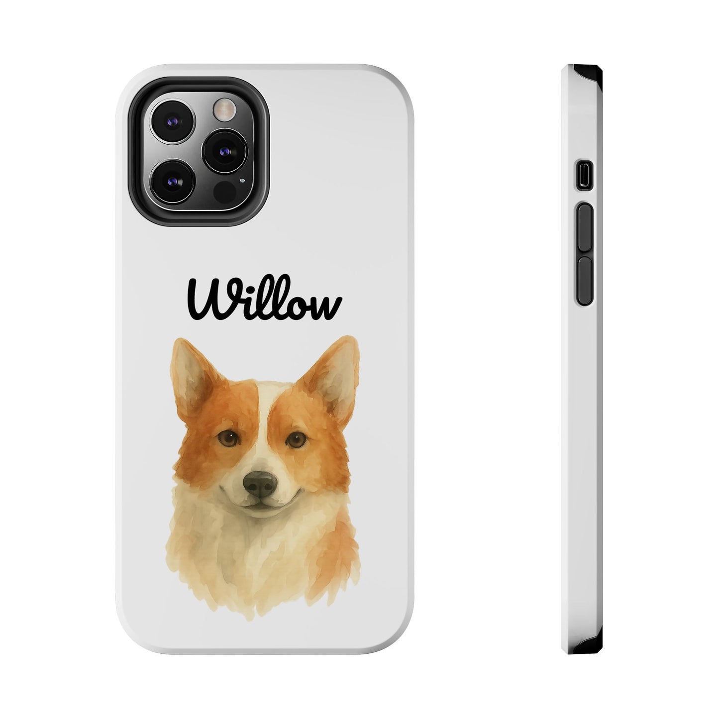 The Tough Companion Case