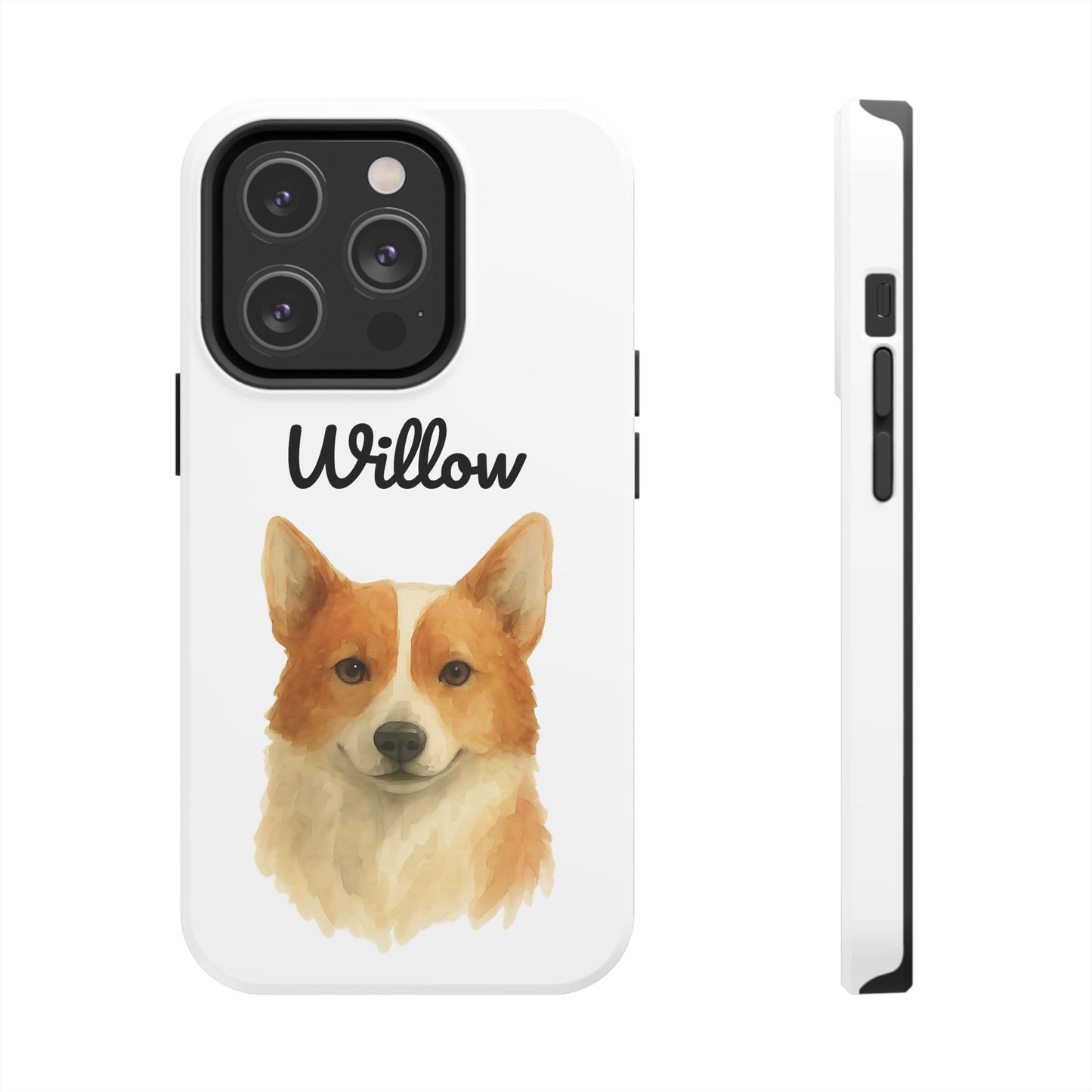 The Tough Companion Case