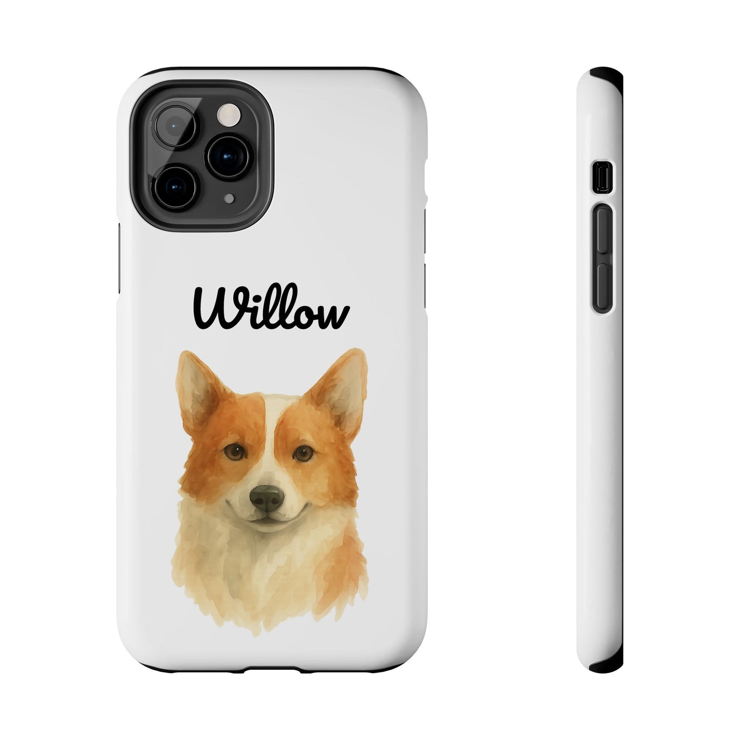 The Tough Companion Case
