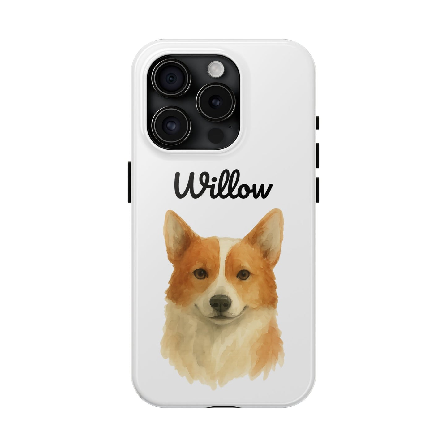 The Tough Companion Case
