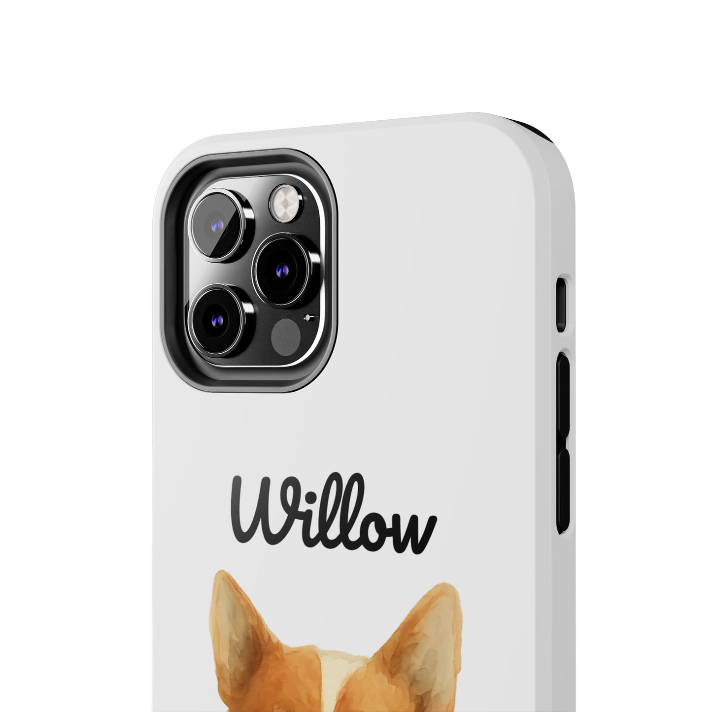 The Tough Companion Case