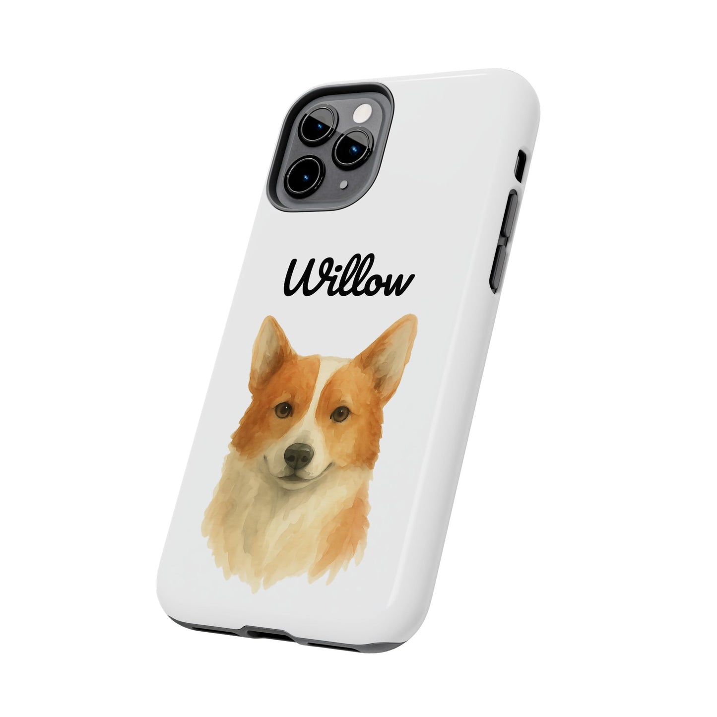 The Tough Companion Case