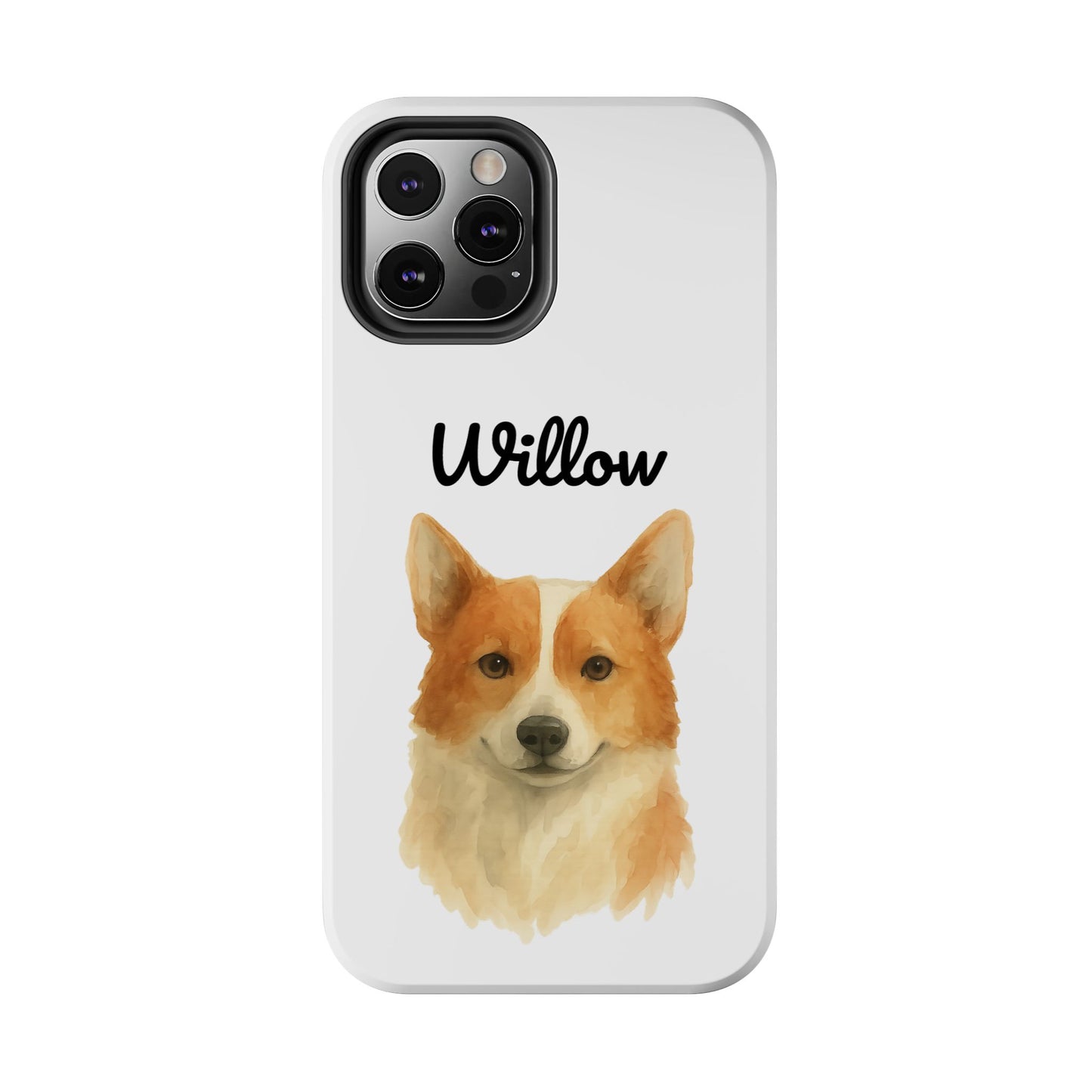 The Tough Companion Case