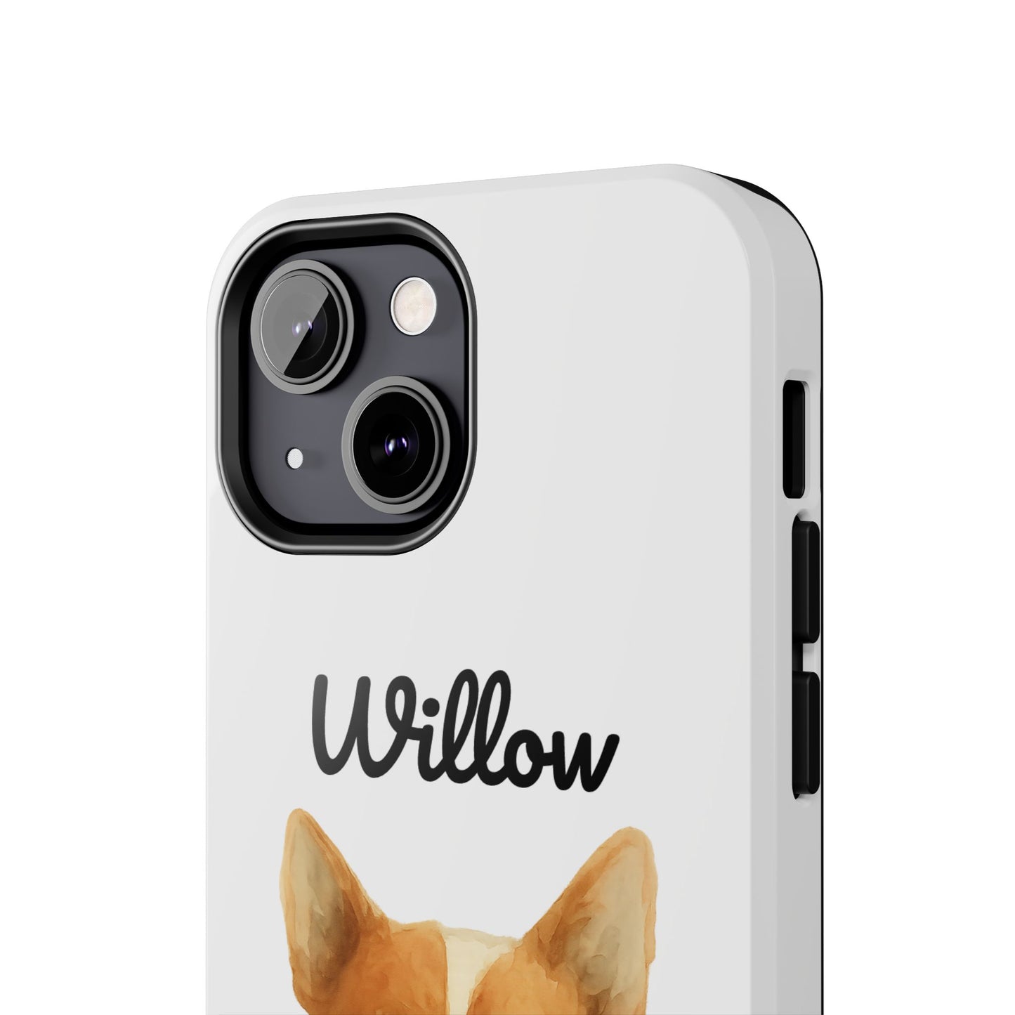 The Tough Companion Case