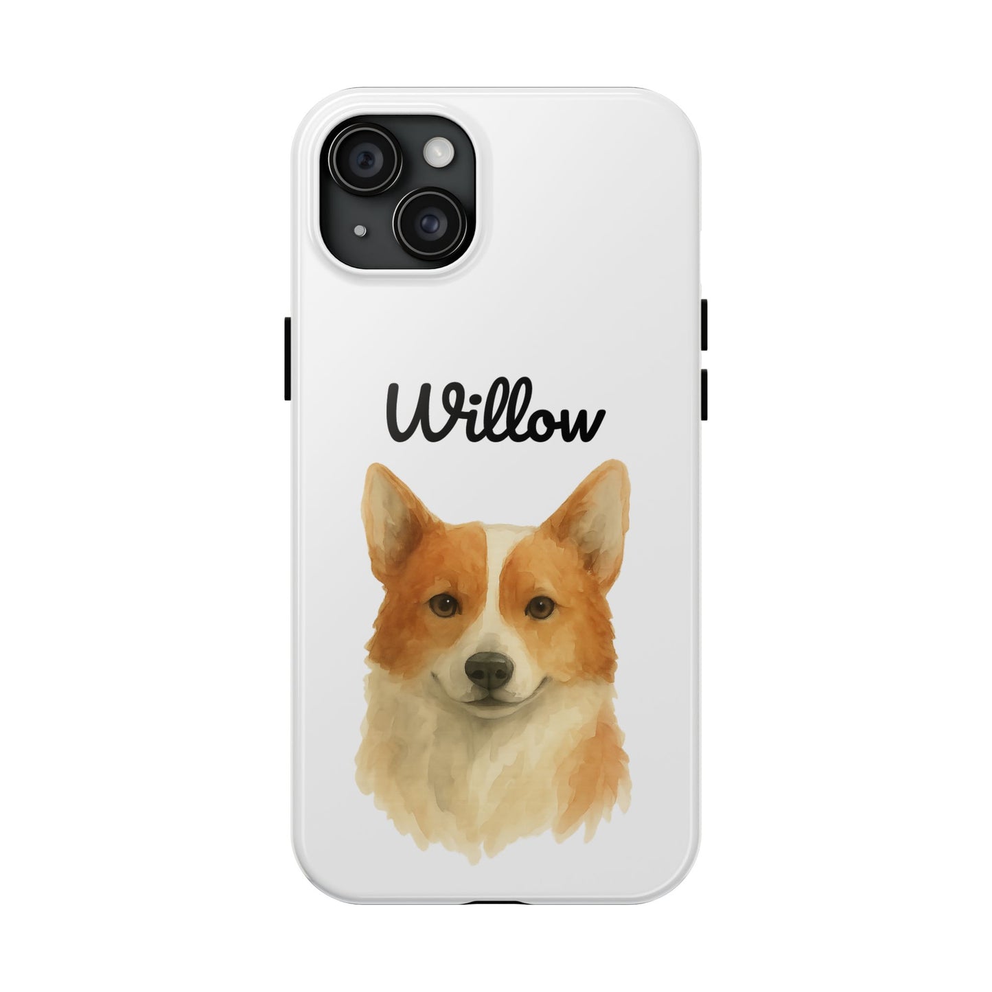 The Tough Companion Case