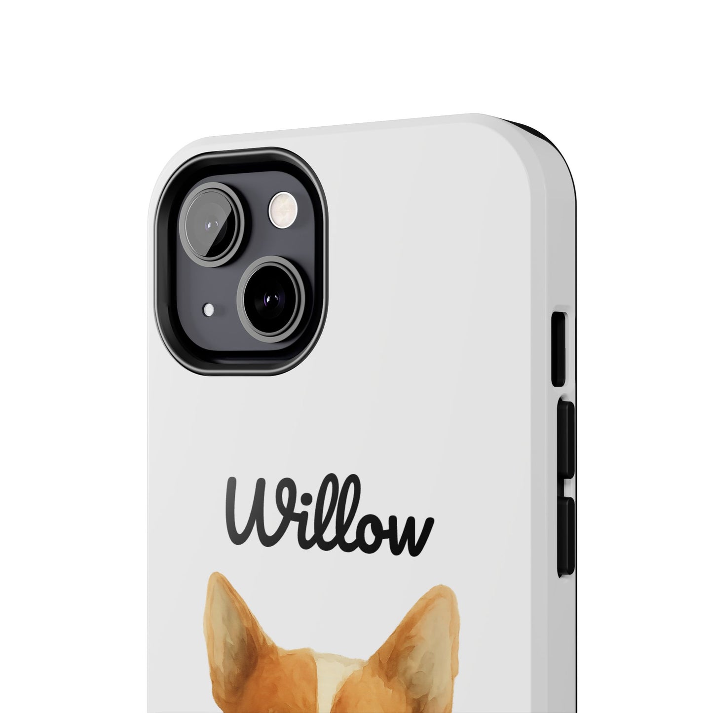 The Tough Companion Case