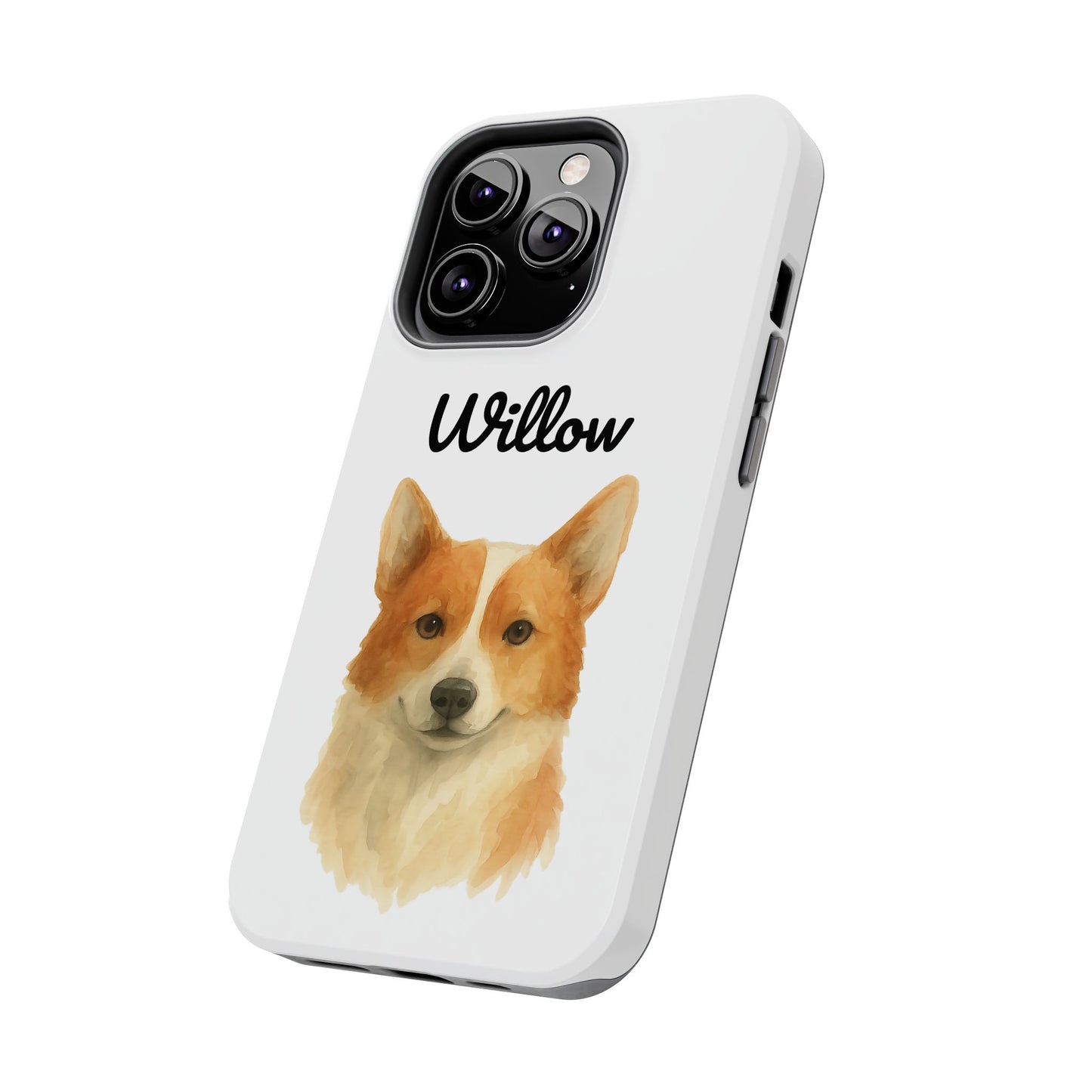 The Tough Companion Case