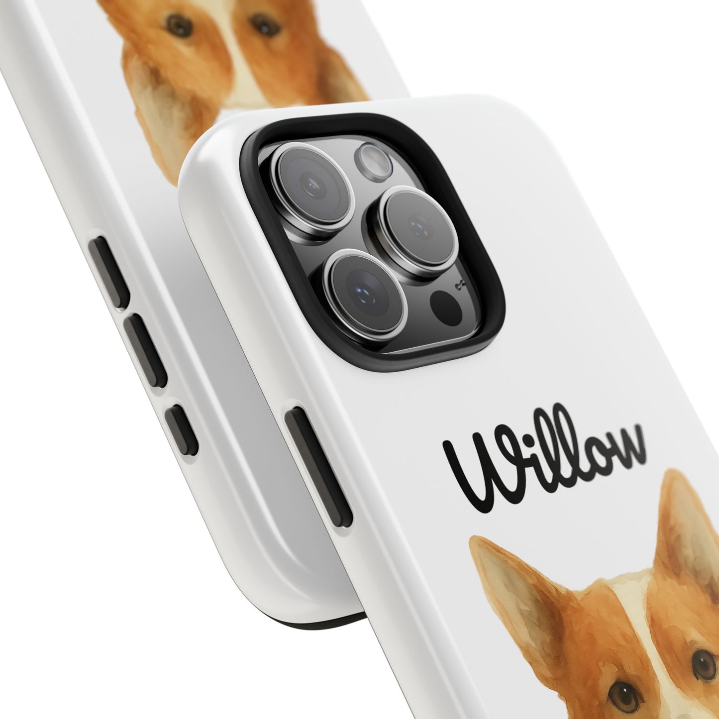 The Tough Companion Case