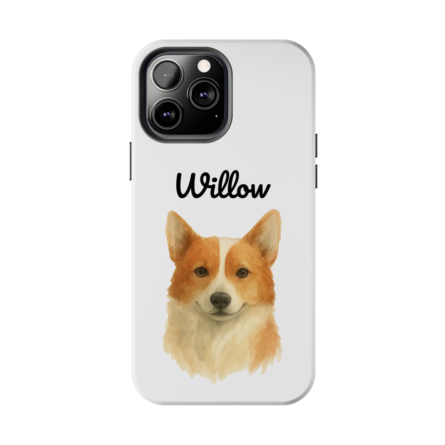 The Tough Companion Case